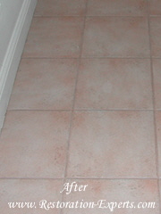 Grout Cleaning  Baltimore, Maryland,Washington  DC, Virginia  After  # GC 3